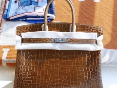 HERMES 最高版本鳄鱼款 birkin35cm 法国顶级Hcp亮面两点尼罗鳄Shiny Niloticus 31 Miel 蜜糖棕 金扣 铂金包