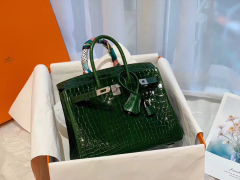 HERMES 67祖母绿Vert Fonce nilo两点 尼罗鳄 银扣 birkin 25