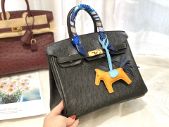 爱马仕 25birkin 小可爱 进口南非kk鸵鸟皮 黑色金扣 顶级蜡线纯手缝
