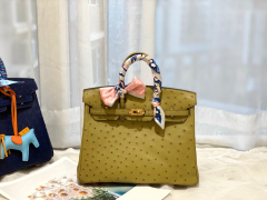 HERMES 25birkin 小可爱 进口南非kk鸵鸟皮 6E黄连木色 金扣 顶级蜡线纯手缝