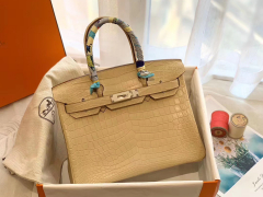 HERMES birkin 30 matte雾面 nilo crocodile尼罗鳄两点 Y1香草色 银扣 淡淡奶油黄
