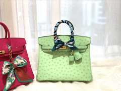 HERMES 25birkin 小可爱 进口南非kk鸵鸟皮 冰淇淋绿 金扣 顶级蜡线纯手缝